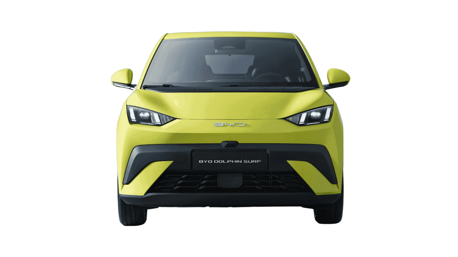 BYD DOLPHIN SURF