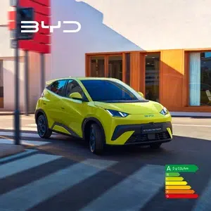 BYD DOLPHIN SURF